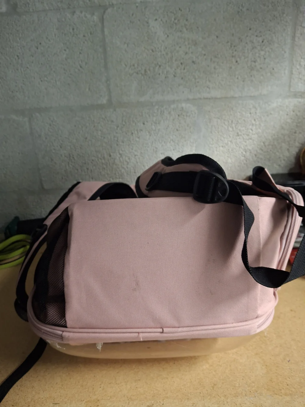 Clear Bubble Pet Carrier Backpack in Blush Pink
